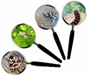 Logo of ACT Centenary BioBlitz