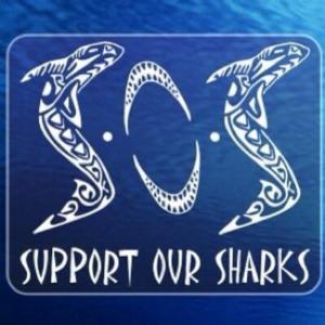 Logo of SharkBase