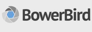 Logo of BowerBird