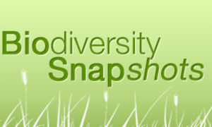 Logo of Biodiversity Snapshots