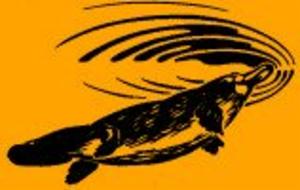Logo of Australian Platypus Conservancy