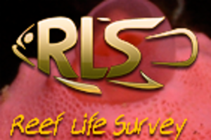 Logo of Reef Life Survey