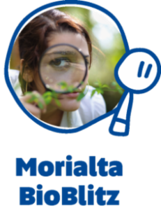 Logo of Morialta BioBlitz 2015