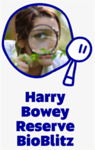 Logo of Harry Bowey Reserve BioBlitz 2014