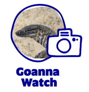 Logo of Goanna Watch