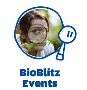 Logo of Discovery Circle BioBlitz events