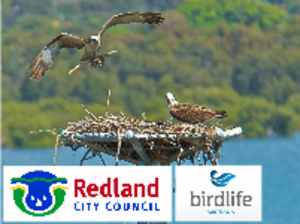 Logo of Coastal Raptor Nests in Redland Coast