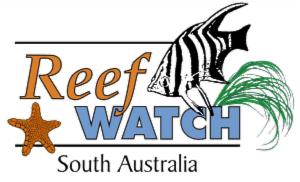 Logo of Reef Watch Intertidal Program