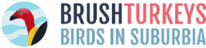Logo of BrushTurkeys: Birds in Suburbia