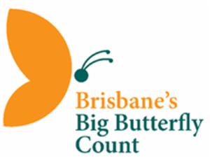 Logo of Brisbane’s Big Butterfly Count