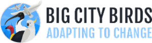 Logo of Big City Birds
