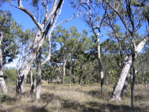 Logo of BioCondition