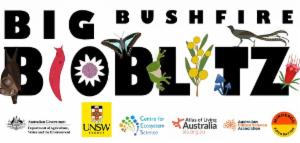 Logo of Big Bushfire BioBlitz- Washpool National Park