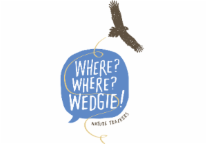 Logo of Where? Where? Wedgie!