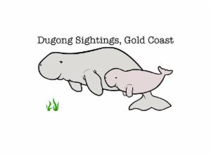Logo of Dugong Sightings Gold Coast 