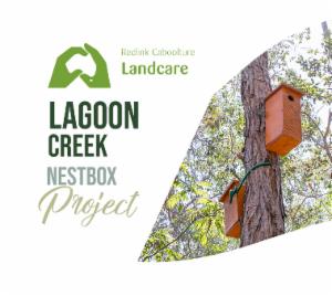 Logo of Lagoon creek nest box  project