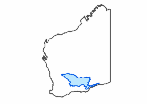 Logo of SOUTH KALGOORLIE OPERATIONS Detailed Flora/Vegetation Survey and Basic Fauna Assessment October 2023